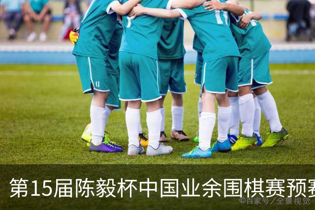 第15届陈毅杯中国业余围棋赛预赛收官 本赛阵容出炉